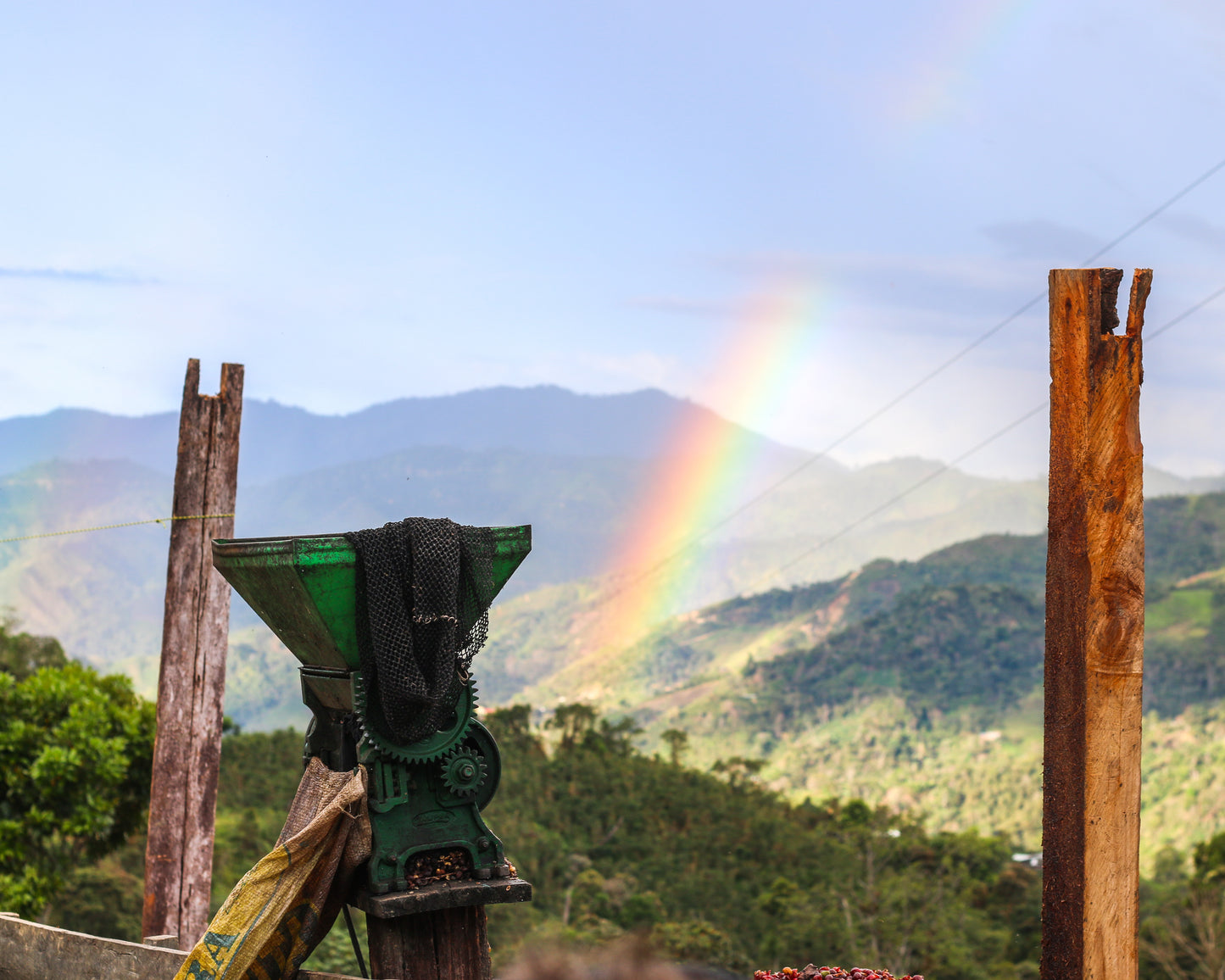 Peru Washed // Cajamarca