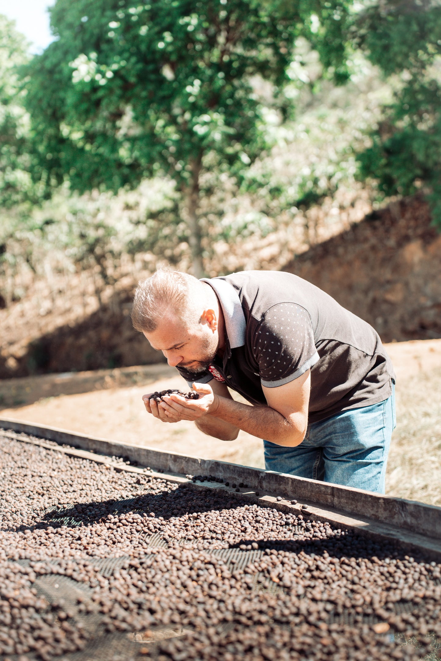 Costa Rica // Natural Process