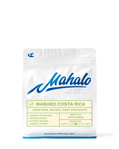 Costa Rica Washed // Caturra // San Gabriel
