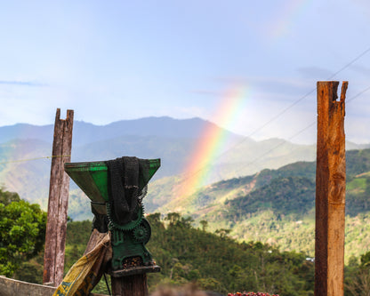 Peru Washed // Cajamarca