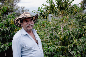 Colombia Washed Sidra // 12oz // Arnulfo Leguizamo